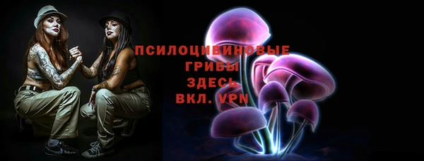 apvp Заволжье