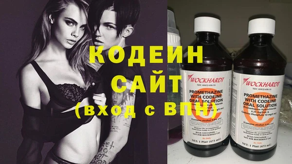 прущие крисы Заводоуковск